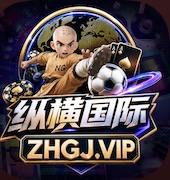 纵横国际